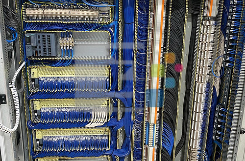 Untitled Project (1).jpg